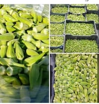 بانيه • درجة • حجز واتساب