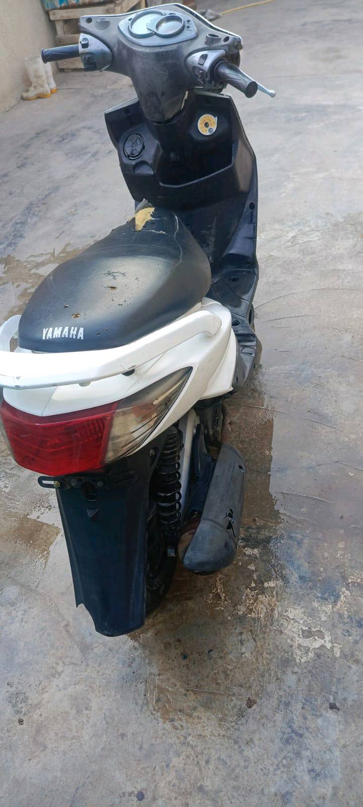 سكنس فحل • ياماها