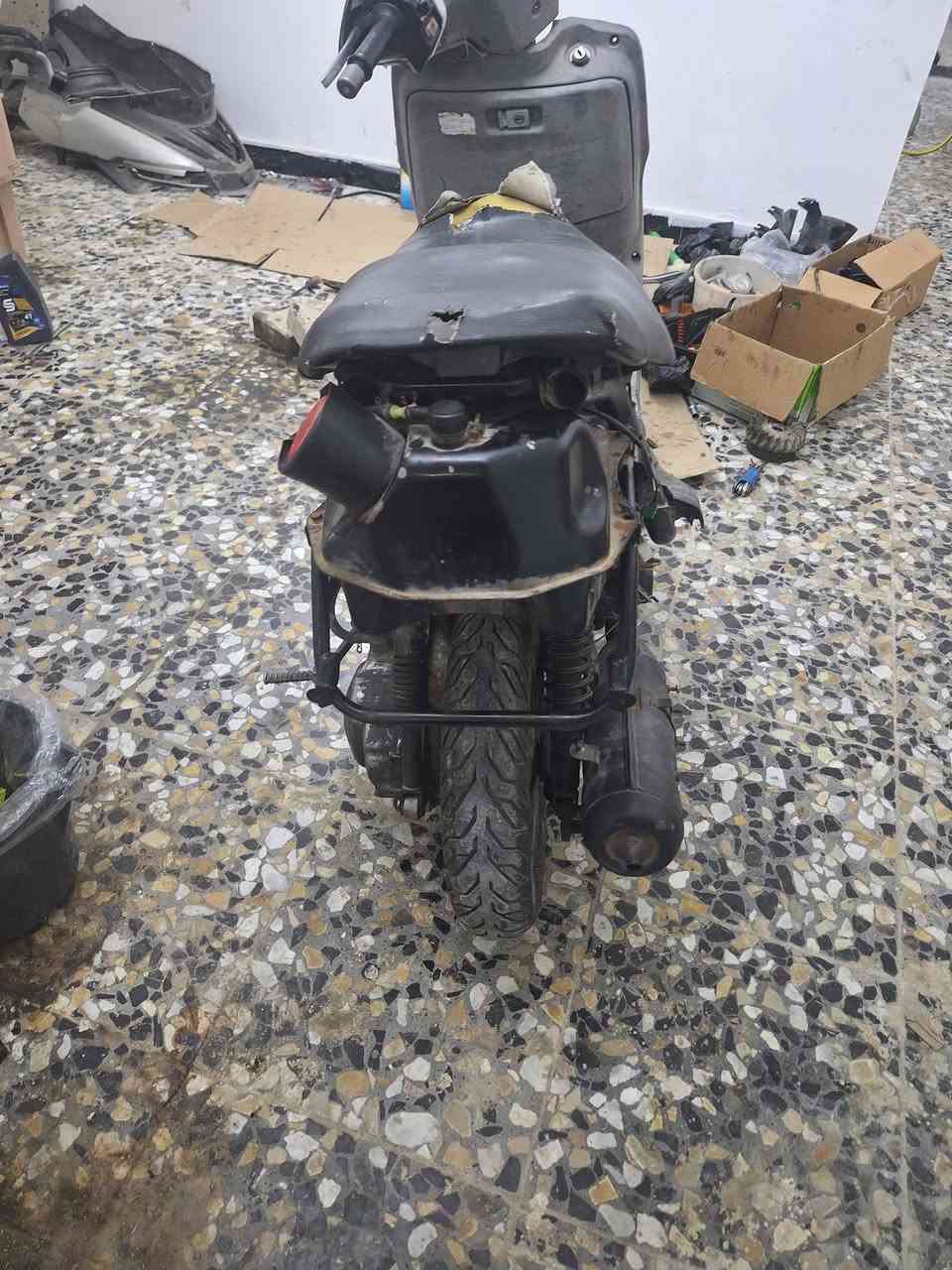 فراشه • امبدل • جبنه