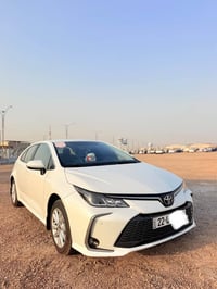 ٢٠٢٤ • كفالة عامة • ماشية ٤٠٠٠٠