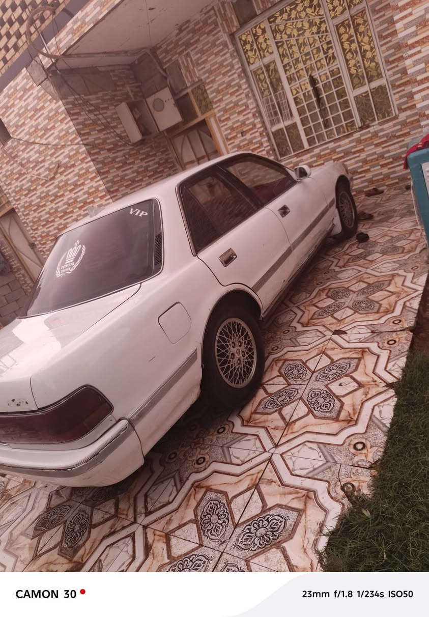 مارك كربلاي • مكفول • ٤ بستم