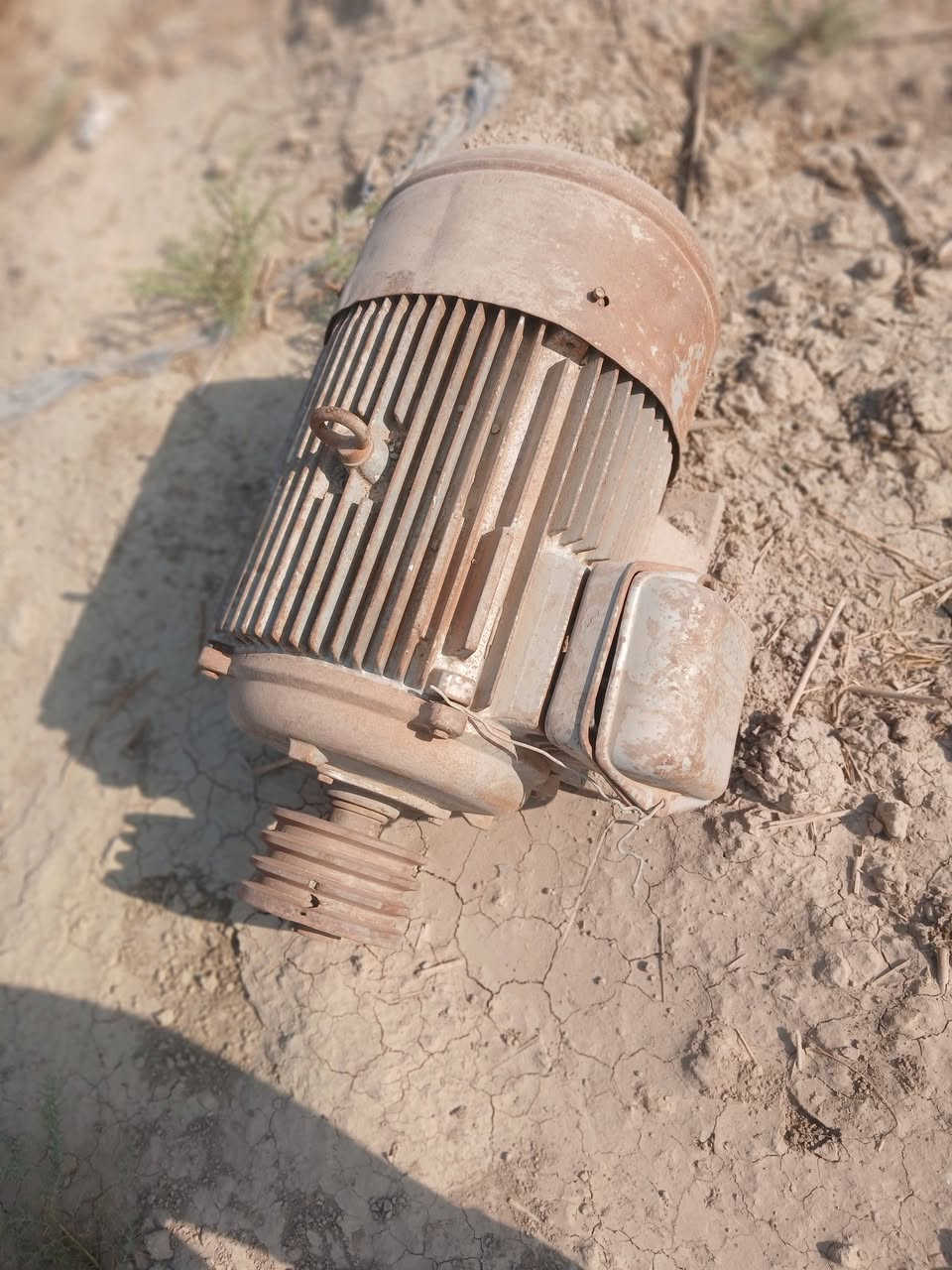 للبيع
ماطور ابو ٥٠ 
خنزيره ١٠ في ١٢
الديوانية 
للتواصل ***********
