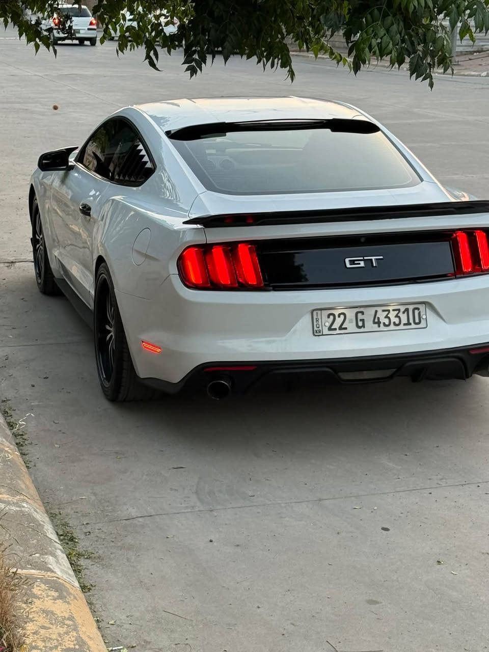 Mustang 2017 eco bust sayaka 125 m roshtwa be aiba zor paka gerw maikna bashara bo zanyariy tell bka ***********
