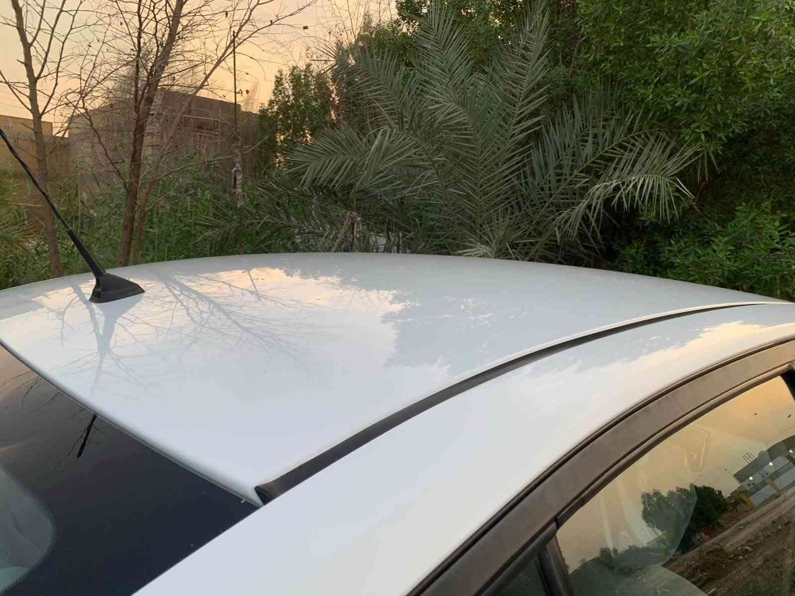 صني مكسيكي • موديل ٢١ • مكفولة