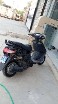 فراشة • النجف • الرادر
