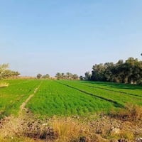 ٣ دونم • طابو زراعي • ماء وكهرباء