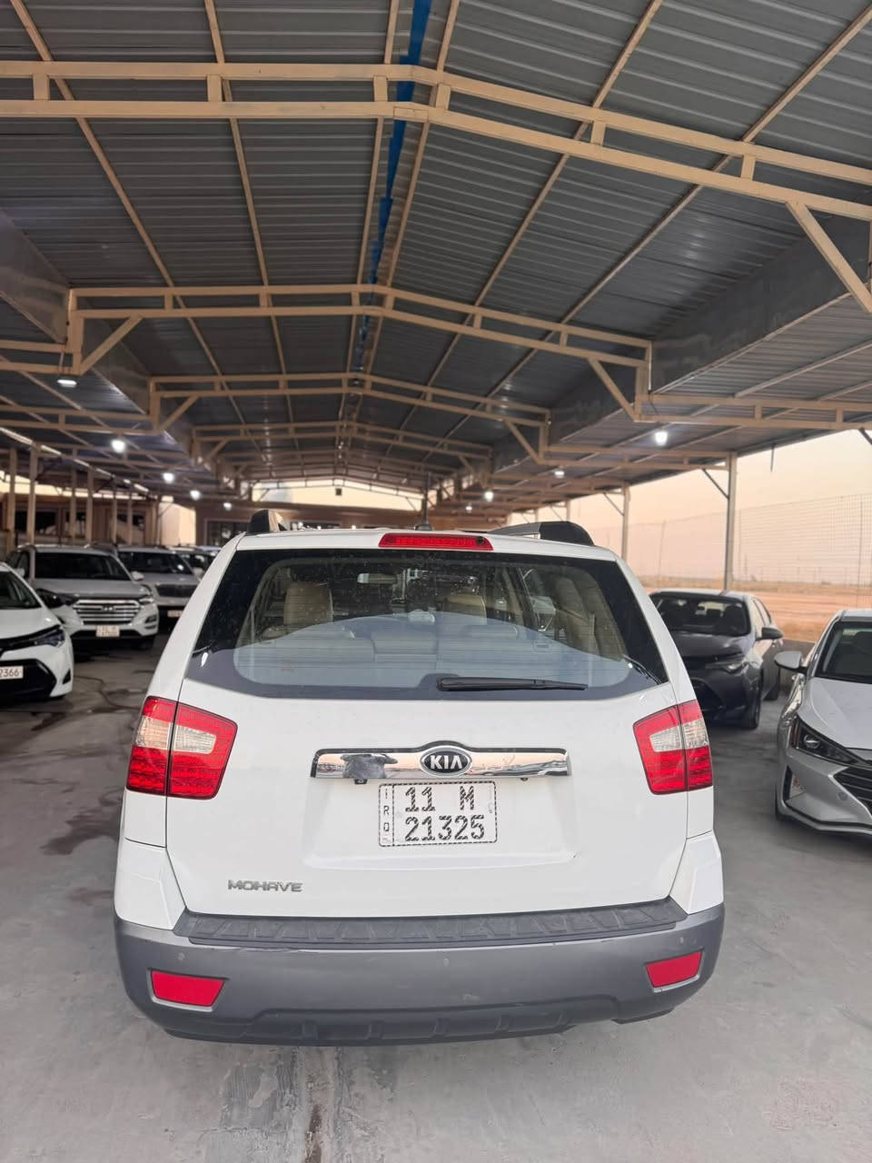 موهافي VIP • ٢٠١٥ • ٧ راكب