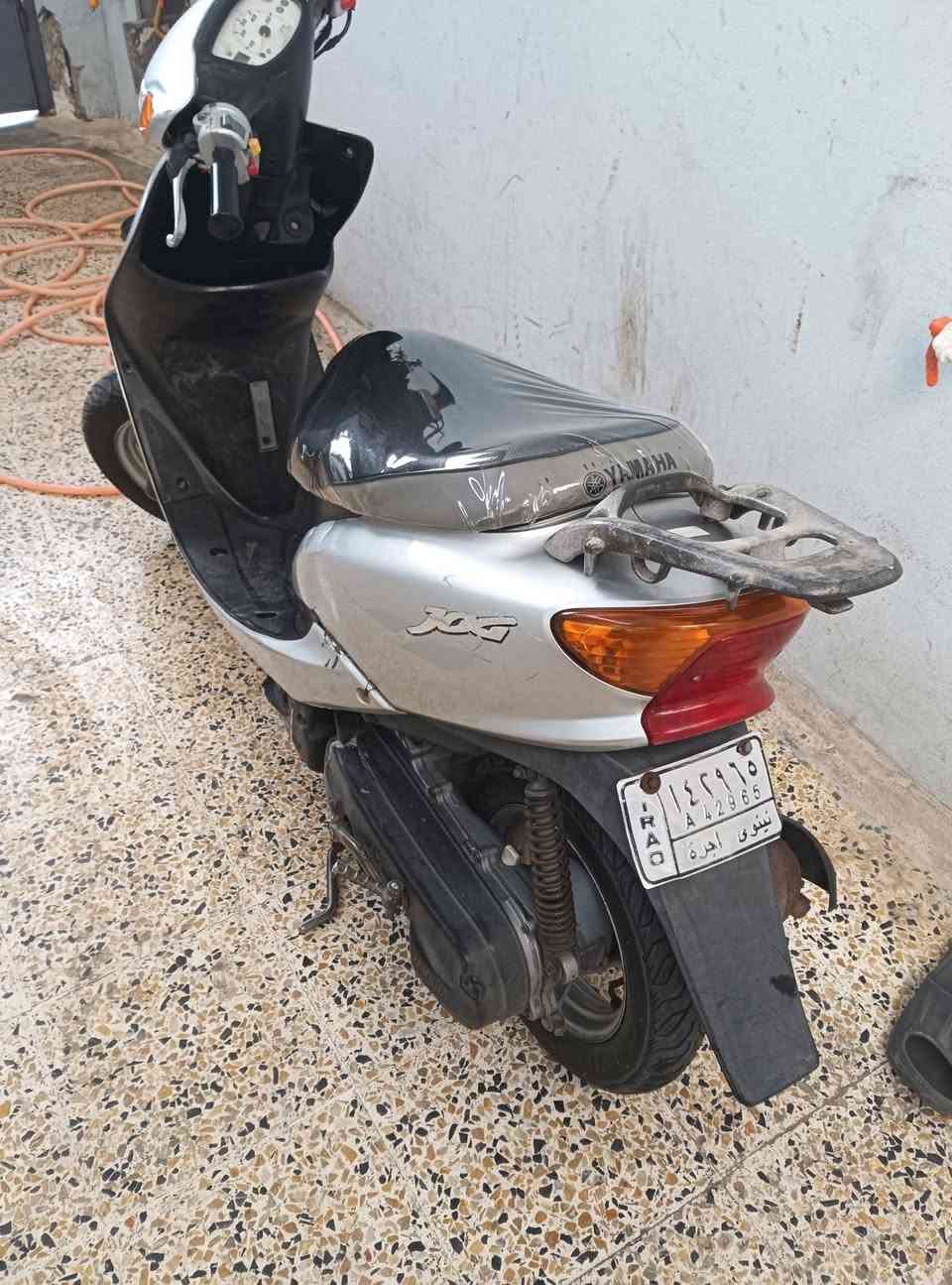 عصفور • مكينه شرط • نضيف