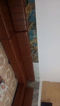 عندي تخم البيع جلد