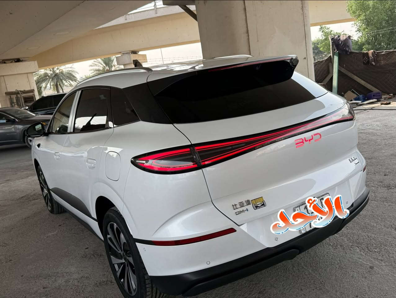 بايد سيلون 6 • ٢٠٢٥ • كفالة عامه