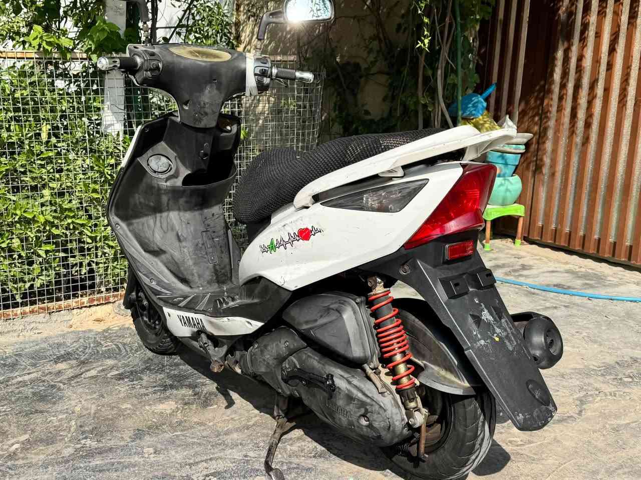ماكس ثعلب • نضيفه • كفرات