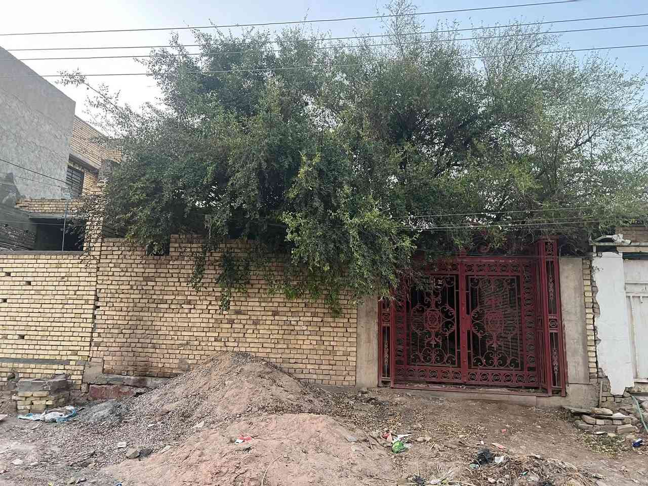 هيكل • ٢٧٠م • سايدين جواهري