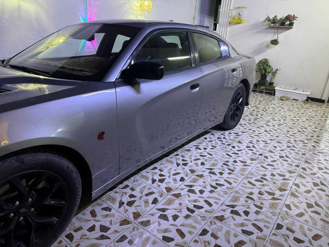 تشارجر SXT • ٢٠١٧ • رقم بصره