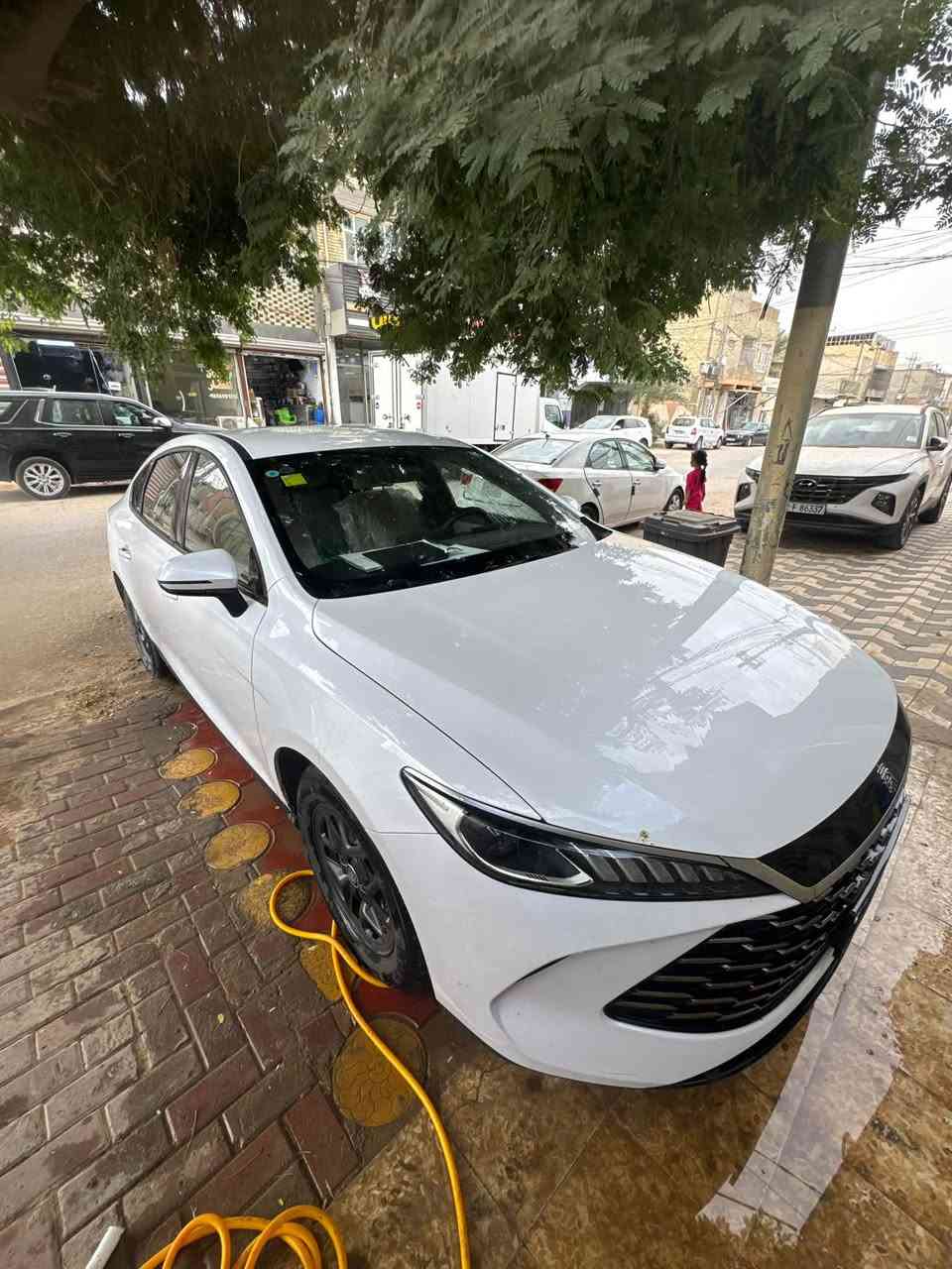 كن بلاص • ٢٠٢٥ • رقم بغداد