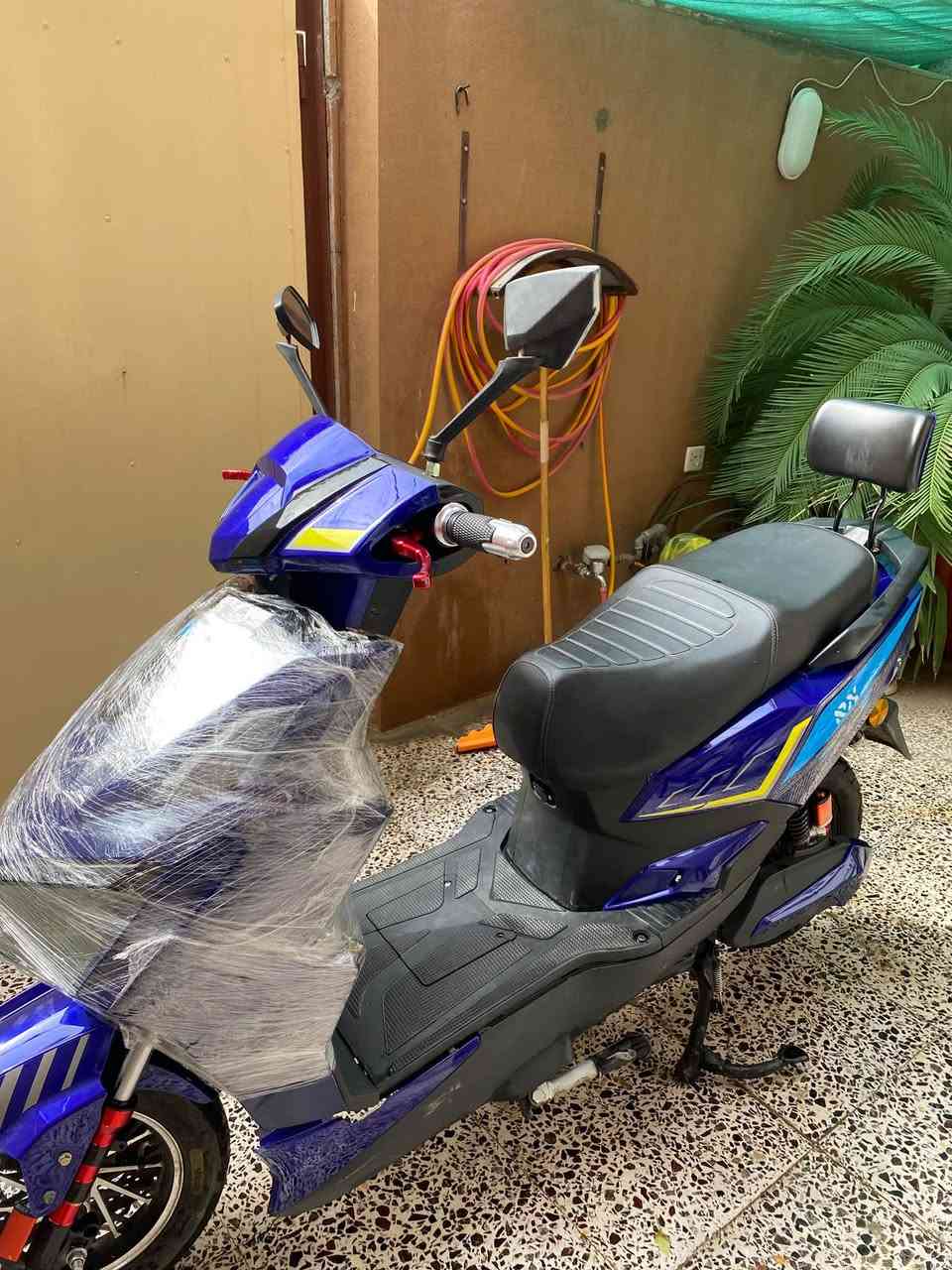 سكنس • شركة الماسة • بطاريات ٦