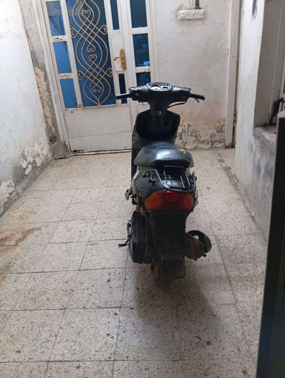 ام تسع زروف • نضيفة • اوراق