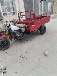 ستوته • صلطان • شاصي مكفول
