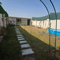 شارع الطاحونة • ١٧٠م • سند زراعي ٢٥