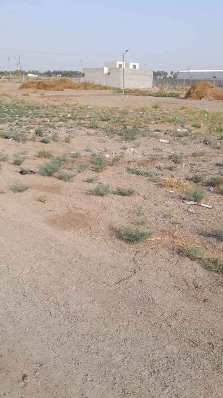 طابو زراعي • ١٠ دونم • اليوسفيه