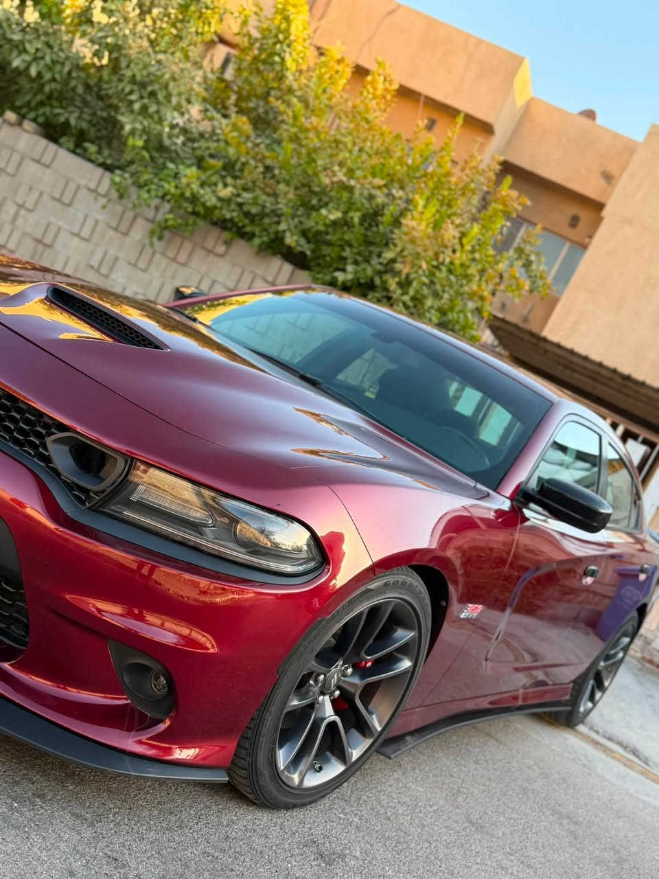 السلام عليكم من رخصة الأدمن المحترم
Dodge Charger Scat Pack 🐝 (6400)
موديل 2021
فول مواصفات فتحة عدا رادار امامي ماشية 31 الف كيلو متر حادثها جاملغ خلفي جهة السايق وعكس السايق السيارة بدون ايرباك بجم كبس بلادي شركة صور حادثها بلخاص
عليهة اكزوز هدرز سيارة حلوة ونضيفة وقوية وبلعافية عل ياخذها مكانها بغداد
السعر / 25.500 وماعتقد اكو هيج سعر بهيج نضافة
للأستفسار |***********
