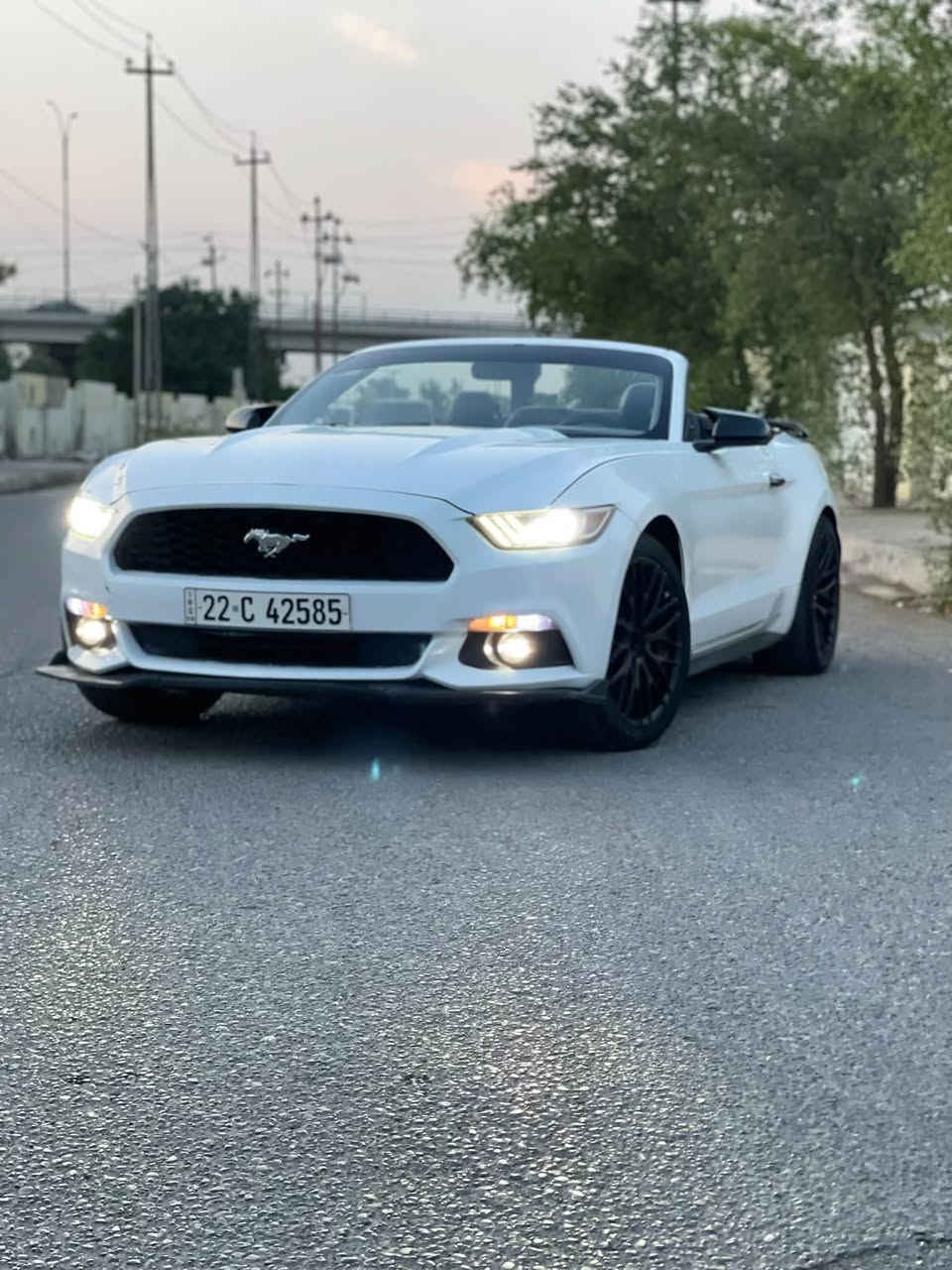 موستانغ • ٢٠١٥ • رقم اربيل