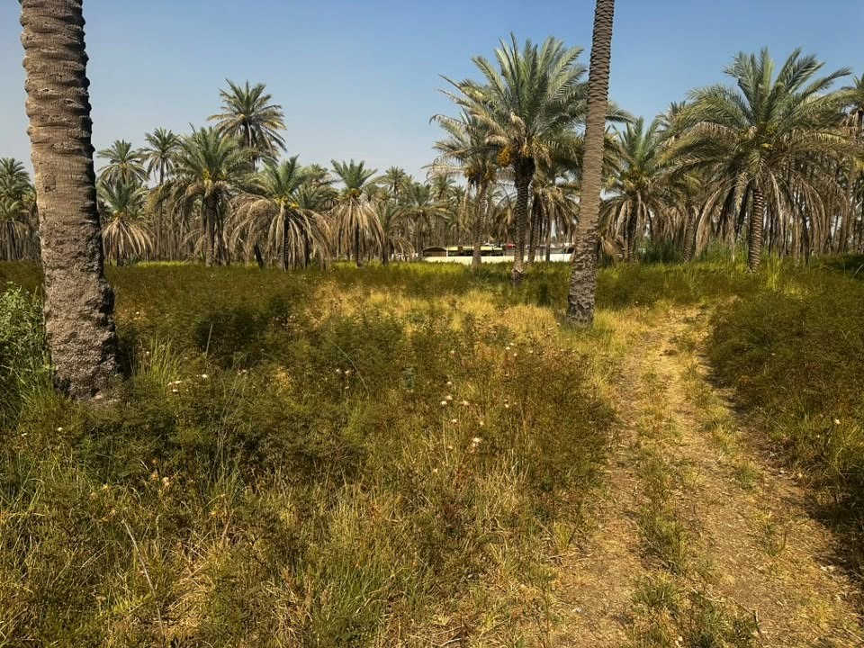 السلام عليكم
قطعه ارض مساحتها 1061 متر
نزالها 20 متر واجهتها لكل 100 متر 5 امتار
موقعها الفحامه قرب جامع جعفر النداوي 
في بستان بيت صعب
القطعه سعرها 210مليون
الشارع مقبل على خدمات تبليط ومي كهرباء
والي يريد كهرباء ومي كذلك اكدر اسويهم اله 
واي استفسار ***********
