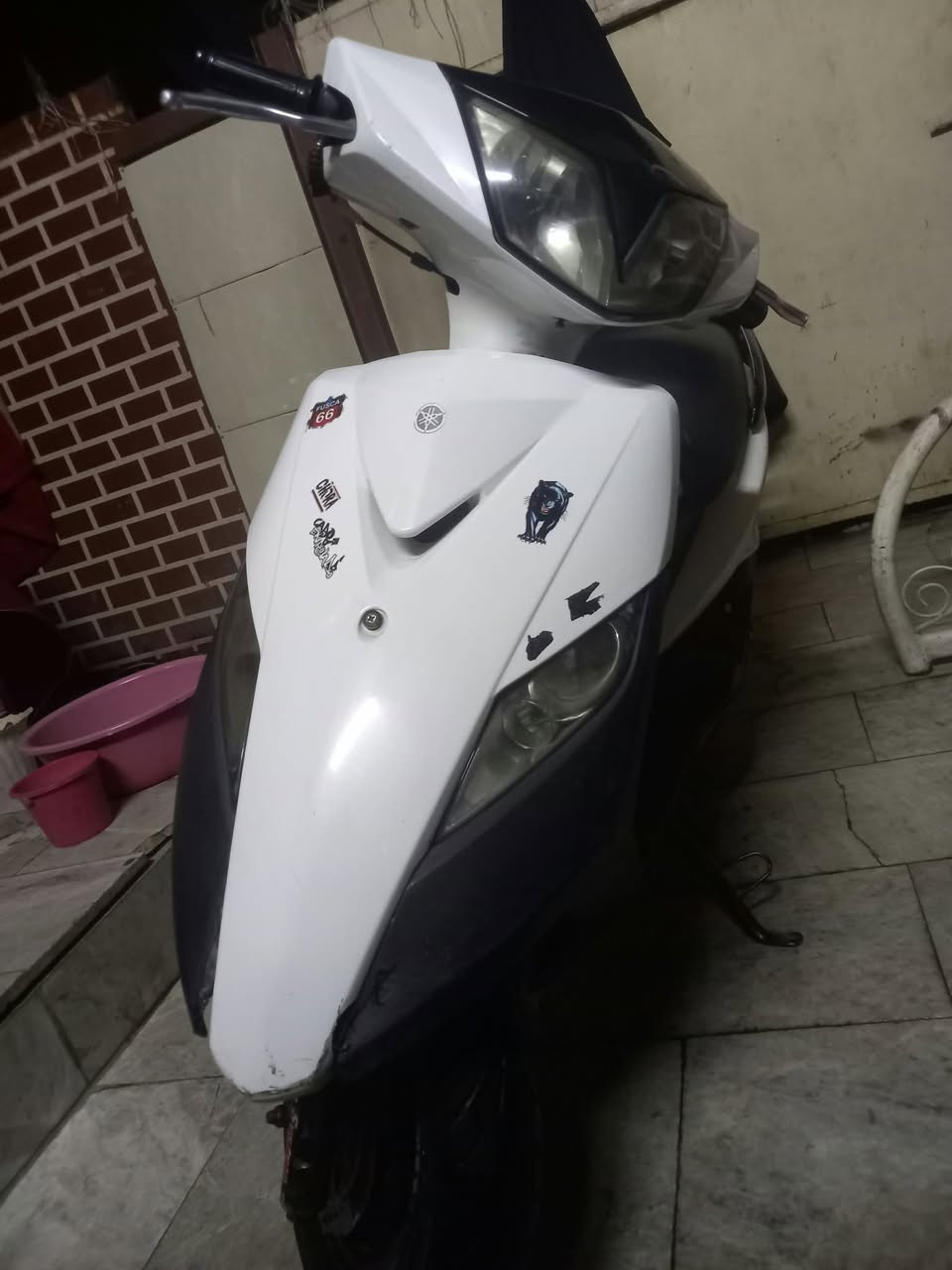 ثعلب • سلف • كبريتر