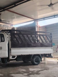 محجر • بابل • نضيف