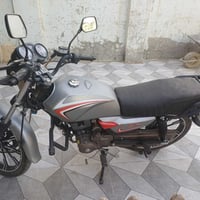 شاينك • فحل • ٢٠٢٥