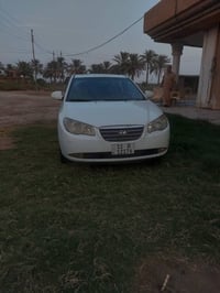 النترا • ٢٠٠٩ • صبغ حزام