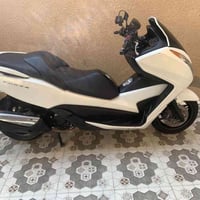فورزا • 012 • مكفولات