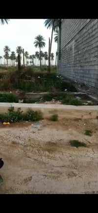 الفحامة بستان غالب • ١٠٠م • ملك صرف
