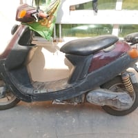 زنبوره • شغال • طوريج