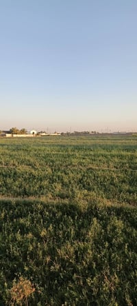 ارض زراعية للبيع • ابو غريب • قطعة ارض سكنية • مزرعة للبيع • ارض مع كه...