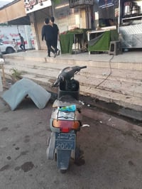 ماطور • معمر • هندر واحد