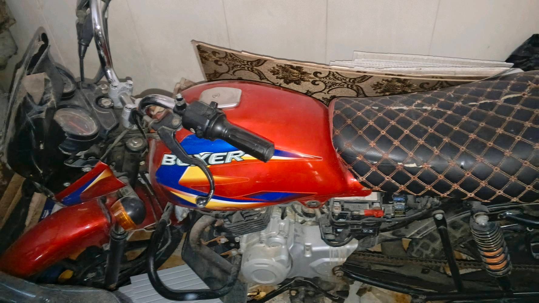 بوكسر • رياضي • ٢٠٢١