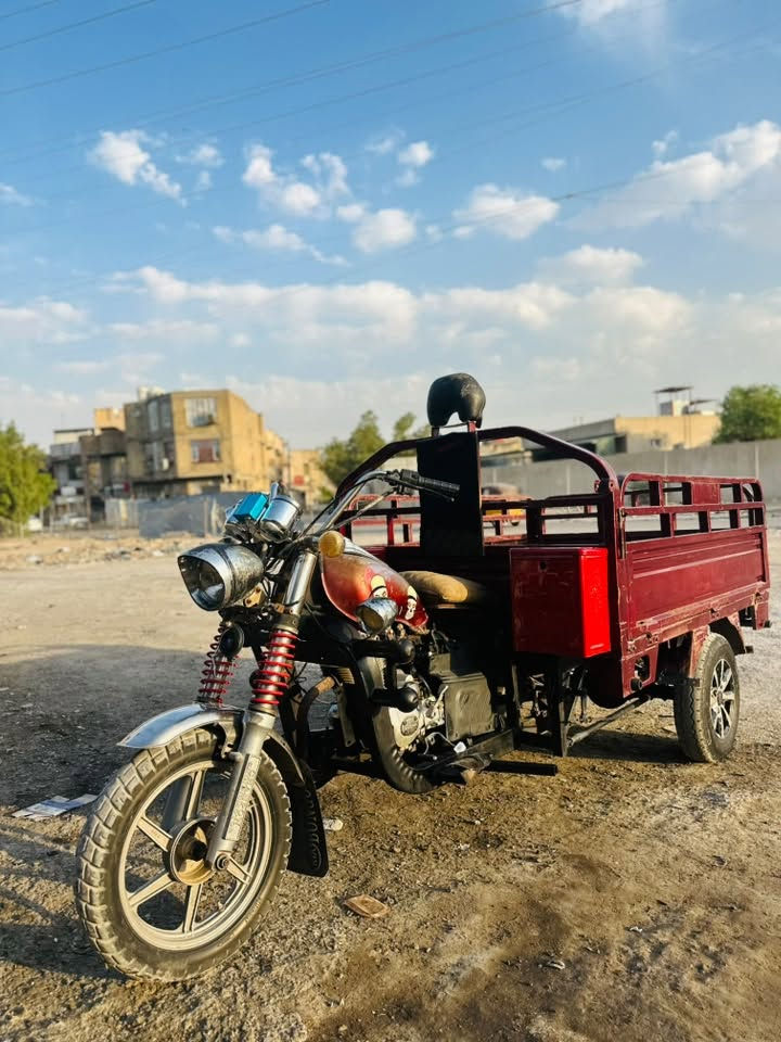 ستوته • ٢٠١٩ • صقر