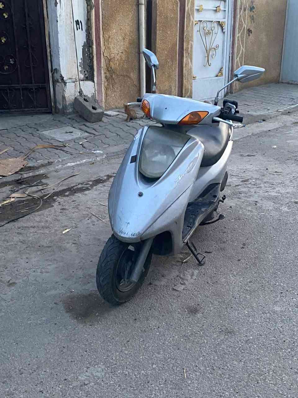 بريز • نضيف • كفالة عام