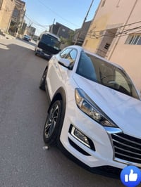توسان ٢٠٢١ • مكفول • رقم اربيل