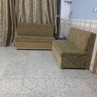 تخم • ٣ امتار • كوت جديده