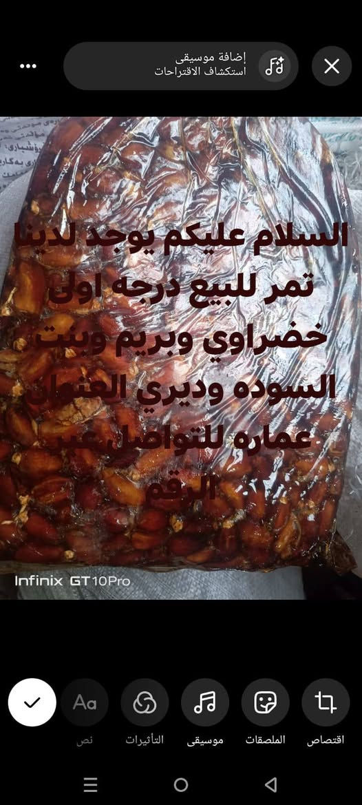 تمر درجه اولى • خضراوي • Infinix GT10Pro