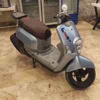 ماكس بوليس • لوكاله • ٤٩