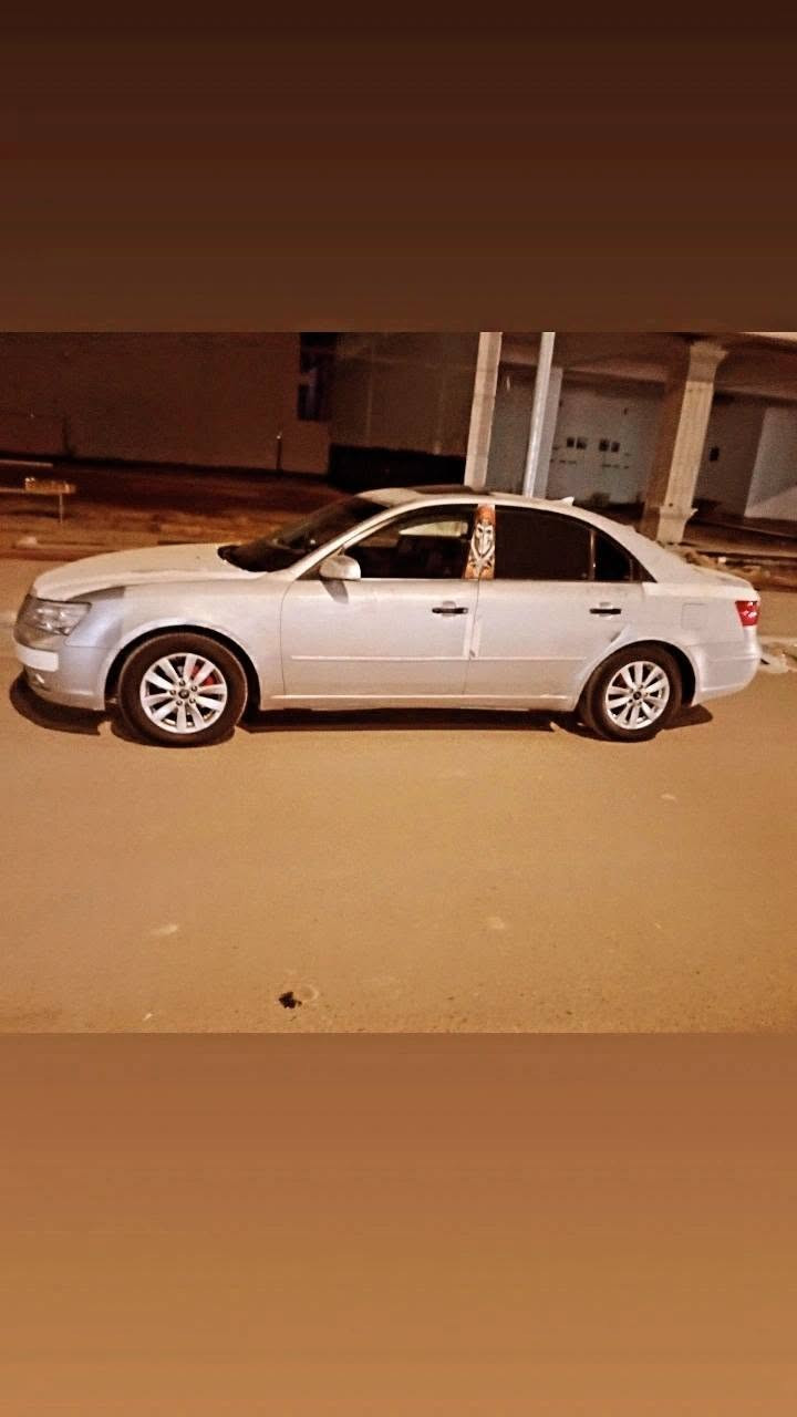 سلام عليكم سوناته وارد امريكي فول  مواصفات جاهزه من كلشي سياره مابيه ضربه بس مجرد جارده فقط رقم انبار / السعر 110 /متواجد بس ع خط /***********
