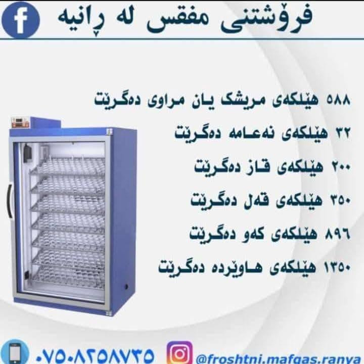سڵاو لەبەخێووکەرانی پەلەوەر🐣
‏ٸەم جارە هاتینەوە لاتان بە باشترین جۆری 
‏مفقس 
‏بە باشترین کوالێتی و هەرزان ترین نرخ
‏زەمانی  12مانگ کارەبایی
‏ کە سیستەمی پلەی گەرمی و ڕادەی شێی و سوڕانی هێلکەی فول اۆتۆماتیکە✅
‏جەستەیەکی pvcهەیە کە دەتوانرێت بشۆردرێت
‏یەکسانی پلەی گەرمی لە سەرانسەری ٸامێرەکەدا
‏پێک هاتوە لە عەدەدی
 1850هێلکەی
 588هێلکەی
‏    بۆ زانیاری زیاتر پەیوەندیمان پێوە بکە
‏*********** 📲
‏*********** 📲
‏
