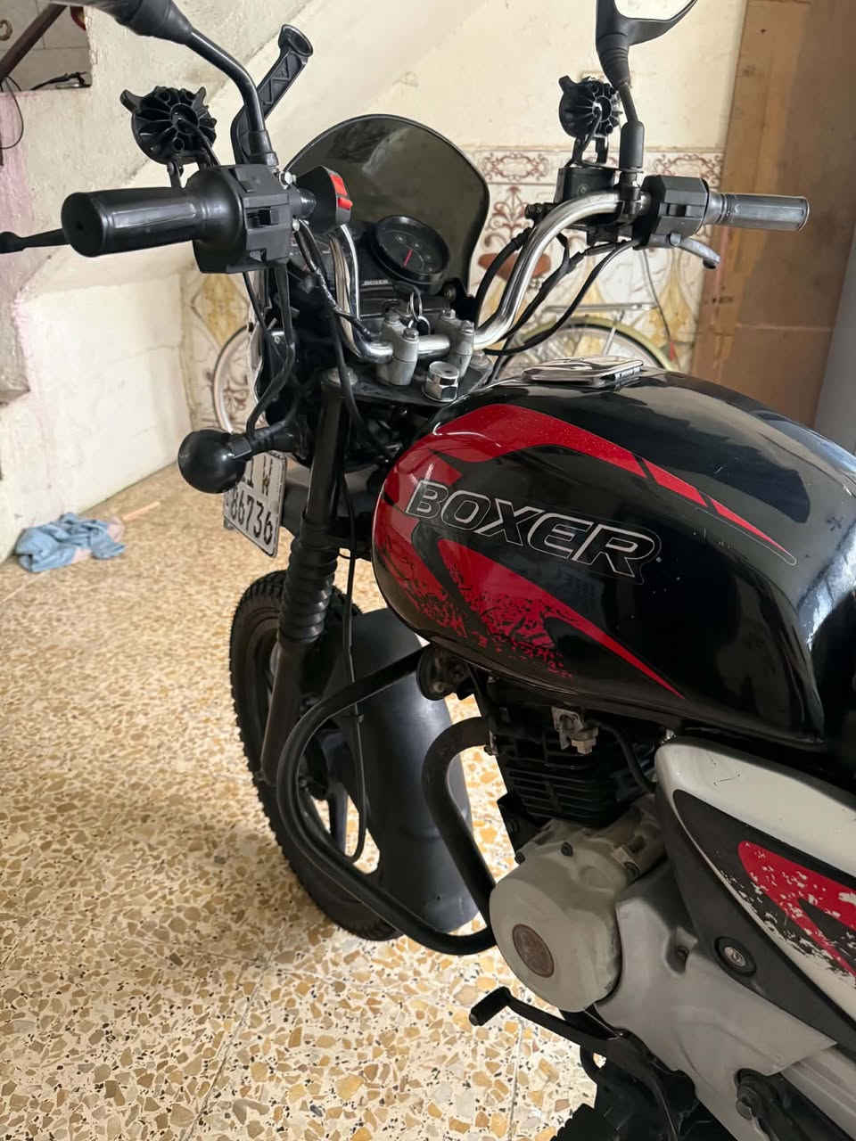 بوكسر جبلي • ٢٠٢٣ • سنويه باسمي