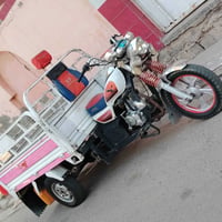 ستوته • فحل • اوراق كامله