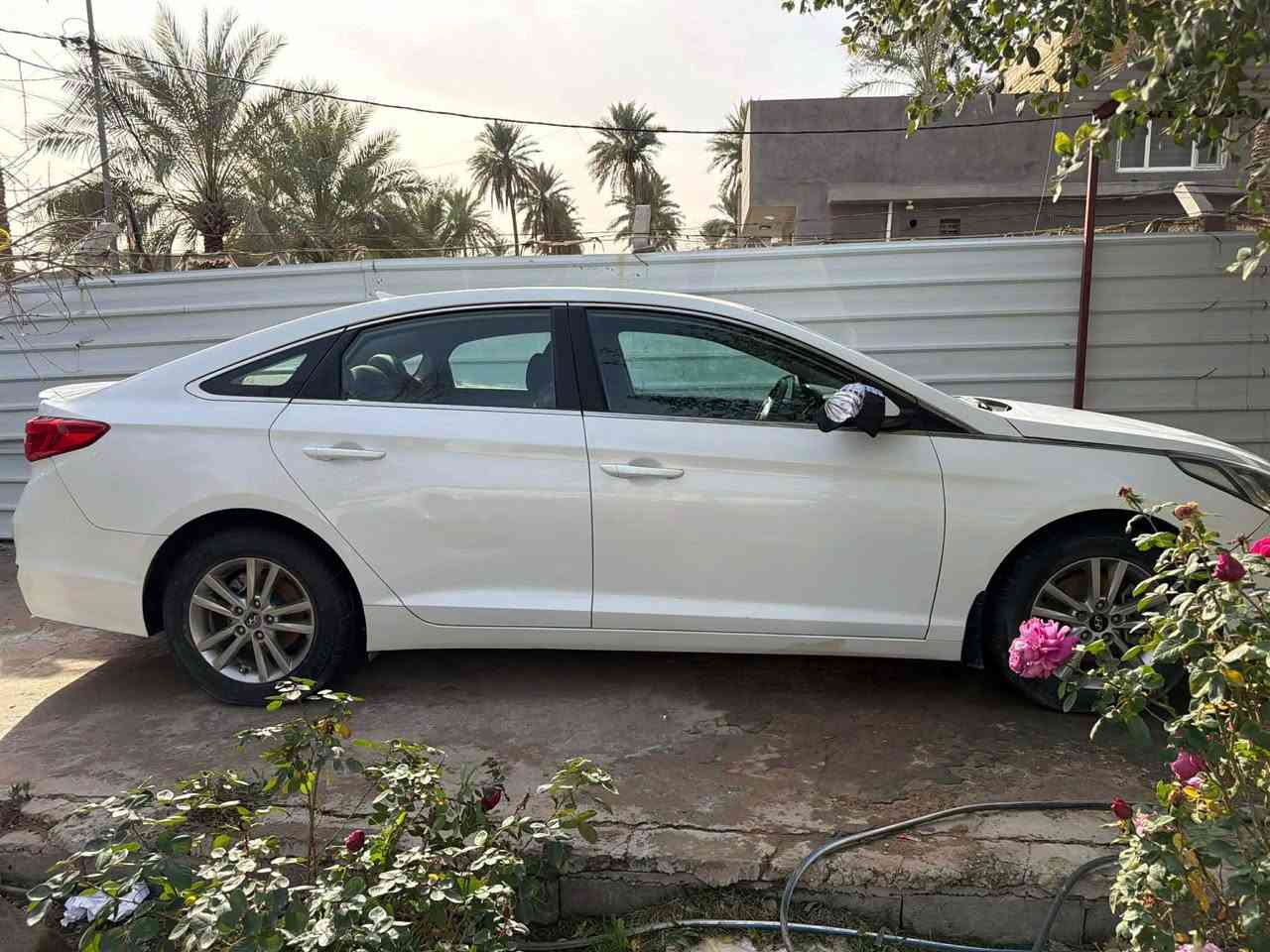سوناته 2017 مكينه 1.6T حادث امريكا جاملغ وبنيد باب عكس السائق فقط رش بدون ضربه (رقم اربيل بأسمي) كير مكينه حداديه تخم تايرات كهربائيات السياره كلهه شغاله تبريد منضومه جديده ثلج مال جناي 120$ وبيهه مجال للطيبين مكان السياره بابل  *********** المحاويل, بابل
