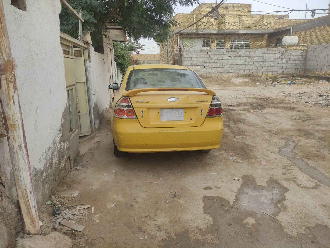 اڤيو • ٢٠١١ • رقم بغداد