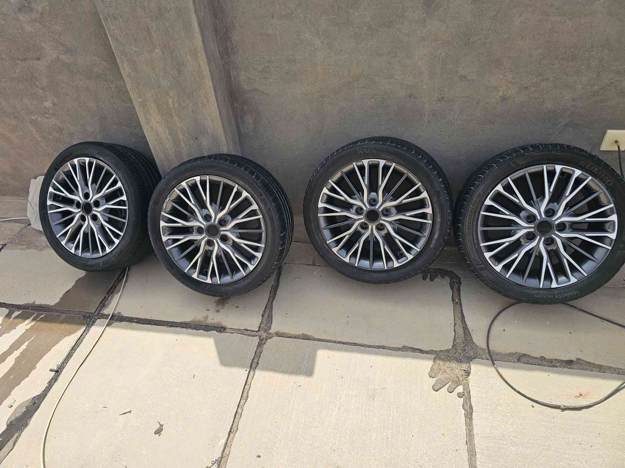 مراوس • مقاس ١٧ • مقاس ١٦