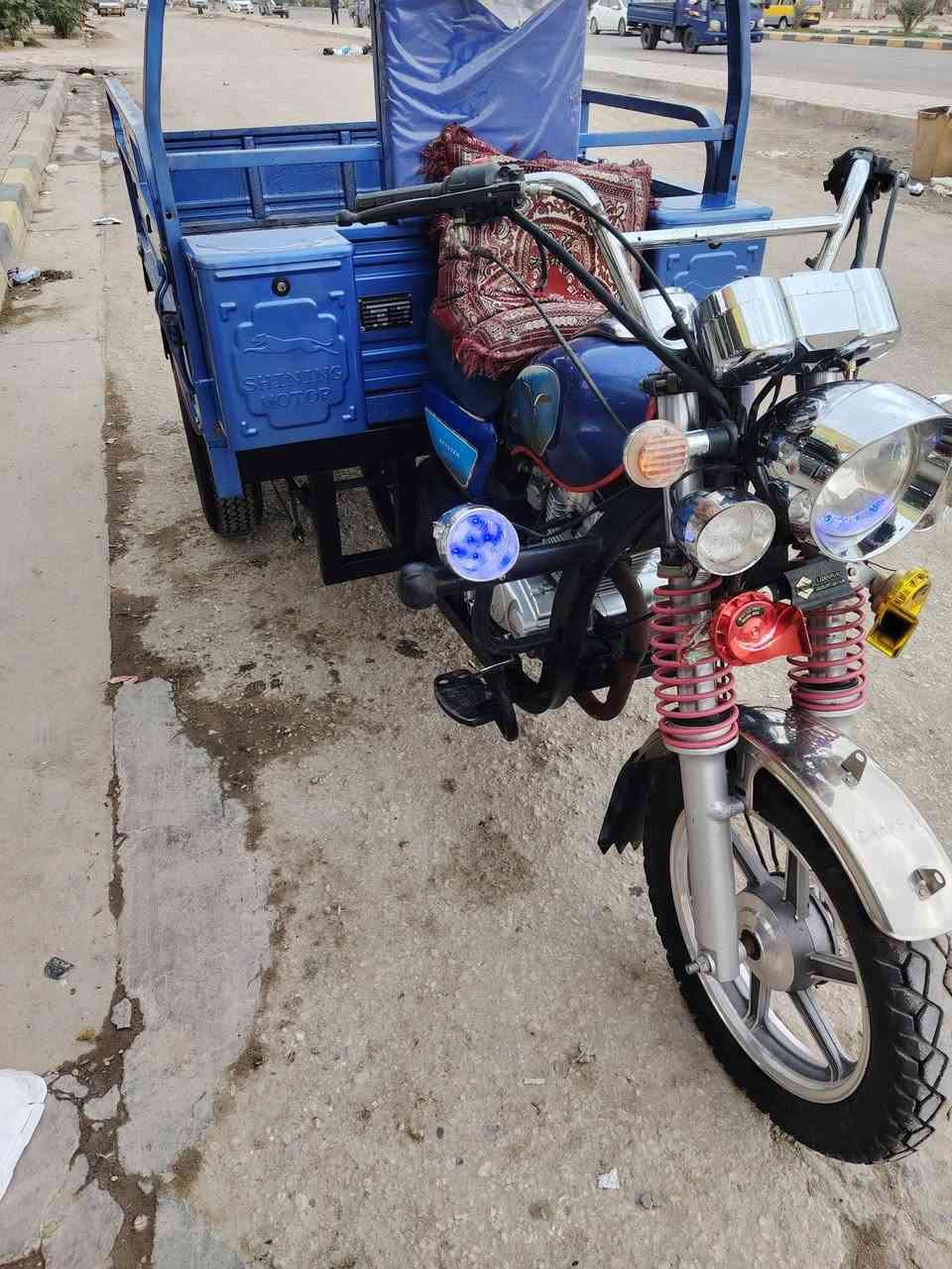 ستوته • فحل • كفاله